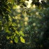 Medidas conscientes、Iluminación、Zona de sonidos pacíficos - El Abrazo De La Lluvia Derrite El Estrés