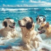 Ocean Sounds Plus、Peace In Stillness、Relax - Dog Ocean Serenity