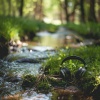 Source Dimension、Rivers and Streams、Seraphic Binaural Wisdom - Beats of the River's Flowing Heart