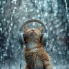 Cat Music Therapy、Drophic、Binaural Beats Brain Waves - Calm Rain for Cat's Comfort