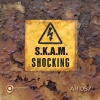 s.k.a.m.《Shocking》[MP3/LRC]