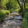Calmar la Ansiedad、Balneario de agua、Especialista en Frecuencias Binaurales - Aguas Serenas Bañadas En Luz