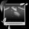 Bongo Records、Vijana Jazz Band - Ilikuwa Ni Lifti (feat. Vijana Jazz Band)