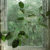 Sonidos De Tormentas、Lunas ruidosas、Volver 2 Dormir - Las Suaves Melodías De La Lluvia Traen Un Sueño Tranquilo