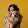 Musica Relajante para Perros Momentos、Sentido suave、Relajación del perro - Ladridos Etéreos