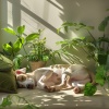 Perros dormidos、Musa K、Abrazando los sonidos - Música Ambiental Para Sueño De Canes