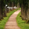 Ethan Wood - Happy May