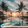 Café Tropicana - Wave in the Morning