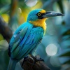 Ayurveda Ledonne、Ambient Study Zone、Moving Gradients - Soulful Serenity in Birdsong’s Realm