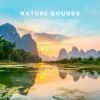 Zen Sounds、Natural Sounds Selections、Nature Sound Collection - Ambient Background Nature