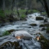 Oliver Sleeping、Sound Library XL、River Sound for Sleep - Nightfall's River Song