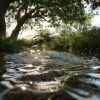 Sleepy Spa Music、Lofi Sleep、Lofi for Coding - Healing Hydro Harmonies in Gentle Loops