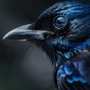 Dreaming Your Dreams、Drivotra、Energy Center - Nighttime Murmurs Lull the World to Rest
