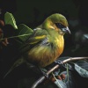 Joga Relaxing Music Zone、Accuweather、SL TIMER - Ultimate Ease in the Harmony of Flight