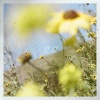 Ben Provencial、Mykyl - 11 11
