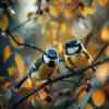Ambiworld、Universe Energy Gathering、Deep Sleep Relaxation - Dreams Cradle in the Echo of Wings