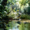 Relaxing Spaces、Zen That Beat、Nue - Massage by Nature’s Own Sounds