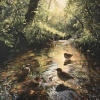 This Little Light of Mine、Natures Orchestra、Music Moodz - Peace Finds Its Voice in Nature’s Choir