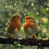 Crossing of Souls、Essential Nature Sounds、Weight Loss Meditation Music - Raindrops Serenade the Early Bird