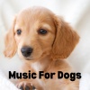 Music For Dogs、Music For Dogs Peace、Relaxing Puppy Music、Calm Pets Music Academy - Restful Retreat for Dogs