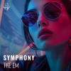 THE EM - Symphony (Instrumental)