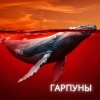 Якирайда - Гарпуны