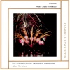 The Concertgebouw Orchestra of Amsterdam - Overture (Grave-Allegro)