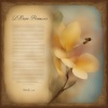$ayless - Divine Promises (Genesis 23)