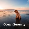 Relaxing Dog Music - Ocean Serenity