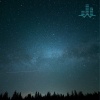 Tmsoft's White Noise Sleep Sounds - Summer Night Cicadas, Crickets, and Katydids (Loopable No Fade)