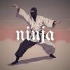 Lofi Ninja - Cool Girls