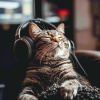 Sleepy Cats、Holy Spiritual Hertz、Heal Your Soul - Whiskers Night Tune