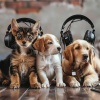 Music for Pets Specialists、The Peaceful D、Mahgreb Machine《Pet Calm Melody》[MP3/LRC]