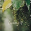 Mr. Käfer、Leavv - Looking Up