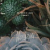 Mr. Käfer、Leavv - Horizon