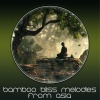 Darjeeling Soundscape、Oriental Soundscapes Music Universe - Bamboo Grove Serenade