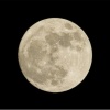 Mond - Pradera de Rosas