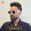 GOLD MONEY、Cheetah - Black Shades
