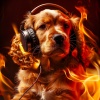 Puppy Sleep、Fire Place Sounds、Mind Mining - Canine's Fiery Energy