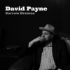 David Payne - Sorrow Drowns