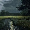 Sonido de la naturaleza para dormir、Sonido de lluvia para dormir tranquilo、Ojo insomne - Armonía Del Sueño Con El Tintineo De La Lluvia