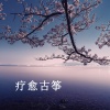 疗愈音律 - 当观水月，莫怨松风