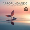 Meditação e Espiritualidade Musica Academia - Silêncio Revela a Voz da Alma