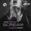 Junior D'Acosta、Josephine Sweett - Scream