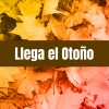 andres calamaro、Mon Laferte - Tantas Veces