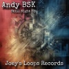 Andy BSK - Still Night