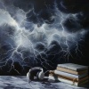 Daily Calm、Drenched Trees、The Nowhows - Stormy Tunes Under Thunder