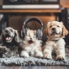 oh, the joy.、Auge Espiritual、Unique Chill - Soft Paws Tapping
