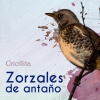 Orquesta Típica Victor、Roberto Diaz、Carlos Deyson - Canción Mistonga