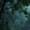 Quiet Meditation Music、Deep Sleep Rain & Thunder、Dusty Clav - Meditation Under the Sheltering Sky